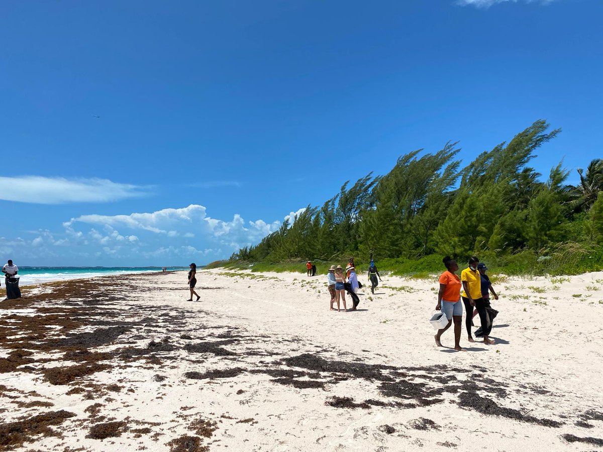 RelaxInBelize's tweet photo. TTHMarketing: RT @TheExtraCatch: People have the power to make change. We love bringing people together, no matter where we are. We can all be part of the solution for healthier oceans and a healthier planet.
#harbourisland #bahamas #theextracatch https://t.co/FO5YqjIr8f