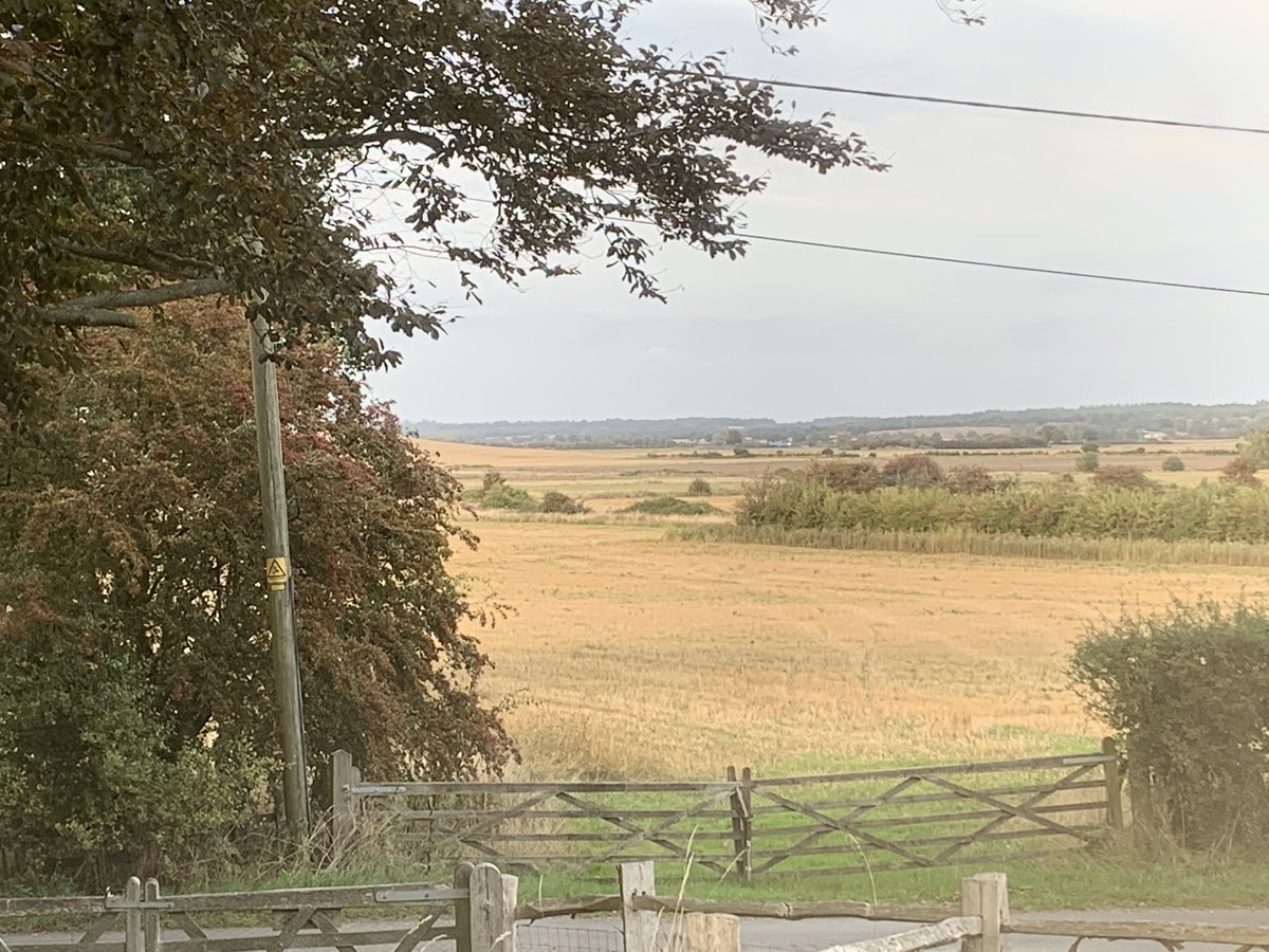 SharonKitcatt1's tweet photo. Pretending it is still #NursesActive with a #TrailsandVines running weekend in Kent. GPS failed but I ran 20,000 of these steps today. A fabulous weekend, thank you Abby & Chris ๐ฅ๐ท#RunWineSleepRepeat https://t.co/RF69p6Xz1z @oxneyestate @gusbourne #loverunning https://t.co/f5hLgwE3WH