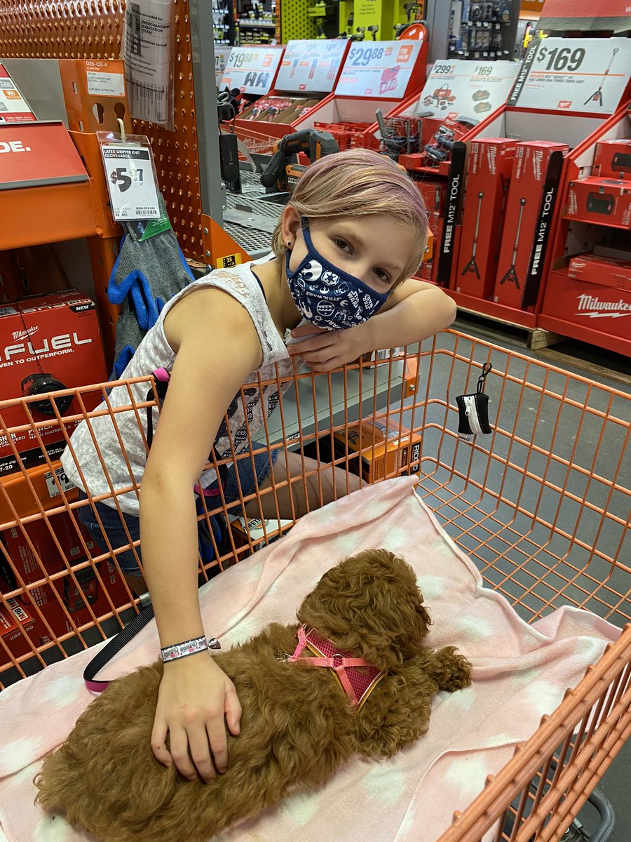 HastySpedTeach's tweet photo. What are you doing this weekend? Our is all things puppy! 🐶 We have 2 puppies and are working on training them. Knowing their names, sitting, and socializing are the top skills we’re focusing on. #dogsoftwitter #LaborDayWeekend #learningcontinues #traininghumans https://t.co/UE78VF9GVM