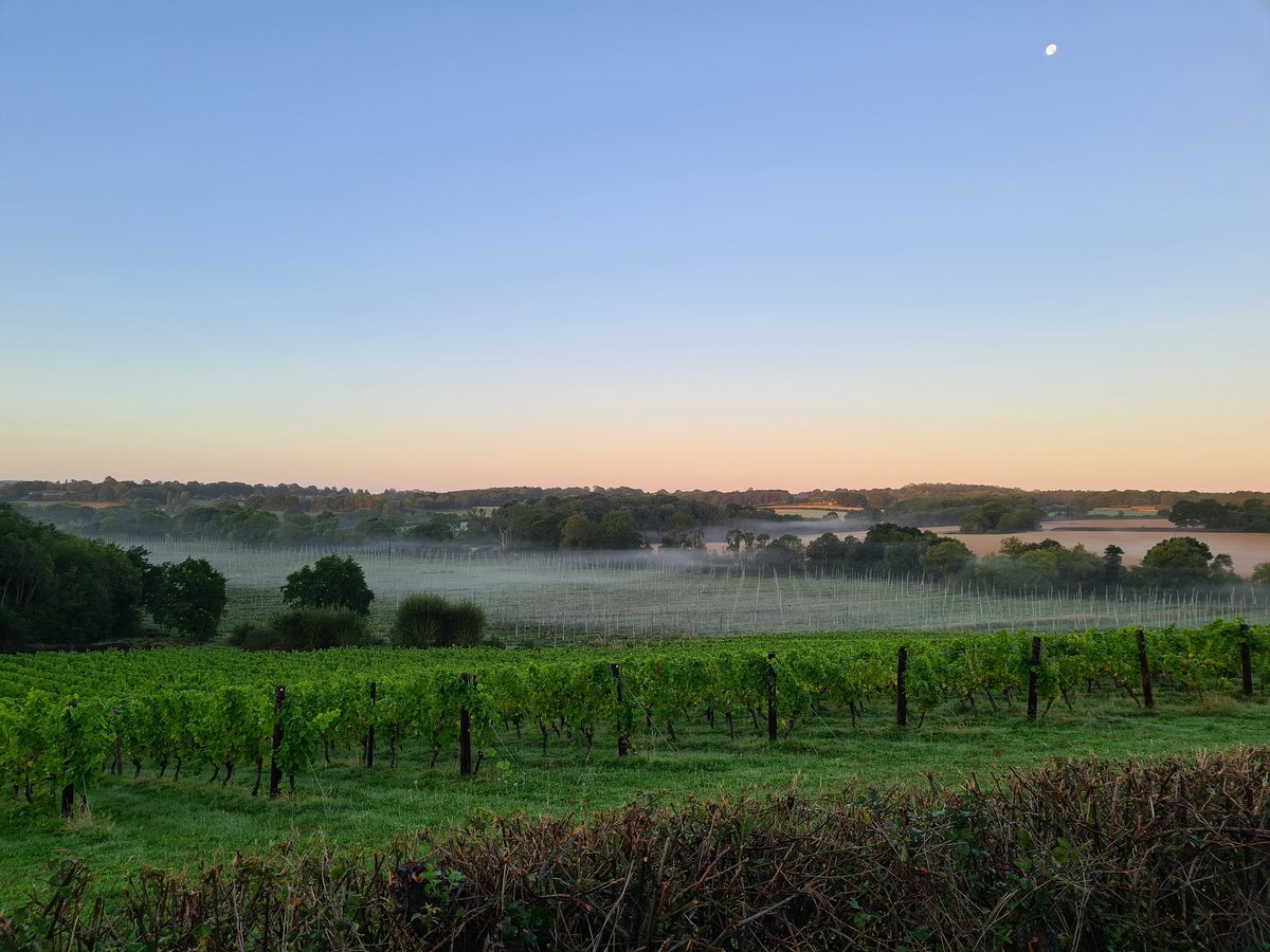 A proper hop pickers morning