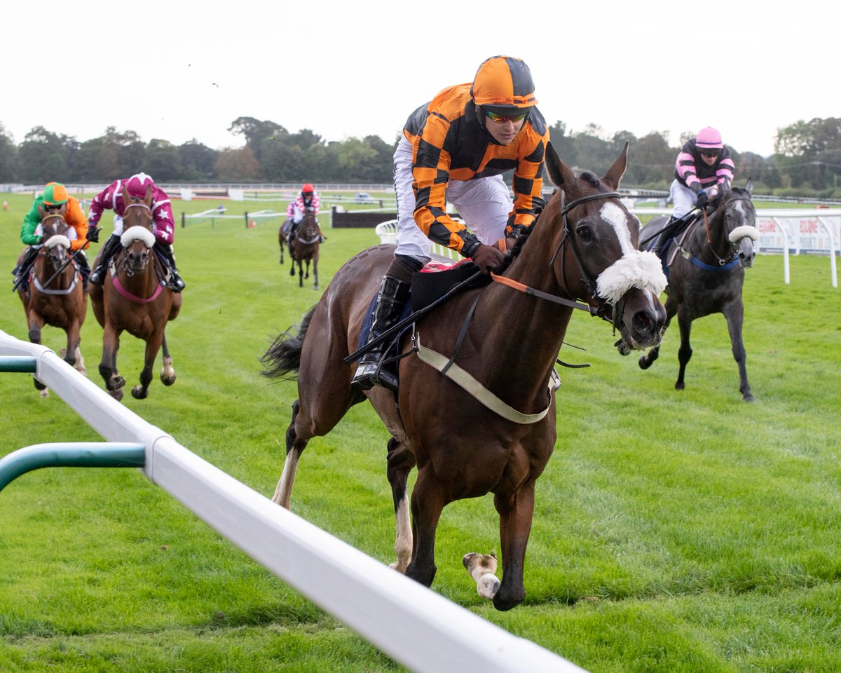 RACE 7 RESULT - Watch Free Race Replays On attheraces.com Standard Open National Hunt Flat Race (GBB Race) 🥇 Lord Accord 🥈 Storm Arcadio 🥉 Grizzman Jockey: @brendanp1995 Trainer: @Neil_Mulholland Owners: Lynne & Angus Maclennan