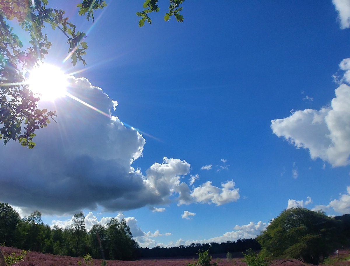 Zonnetje breekt door de wolk op grote hei #Schaarsbergen