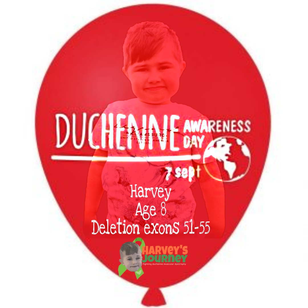 harveysjourney's tweet photo. #wdad20 tommorow please help us raise awareness by sharing the red balloon 🎈🎈🎈 https://t.co/FoOw63fMaP