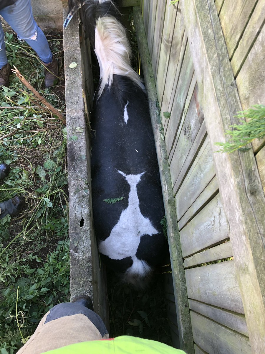 Tarleton Fire Station tweet media