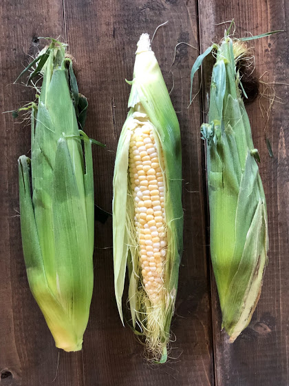 2BKVegetables's tweet photo. 𝐂𝐨𝐫𝐧 𝐑𝐨𝐚𝐬𝐭 𝐒𝐞𝐚𝐬𝐨𝐧 𝐈𝐬 𝐇𝐞𝐫𝐞!⁣
⁣
Nothing like a good ole corn roast and we have bicolour corn available for you and your friends.⁣
⁣
Picked fresh daily only at 2BK Vegetable Farm! https://t.co/2MsoouLNwd