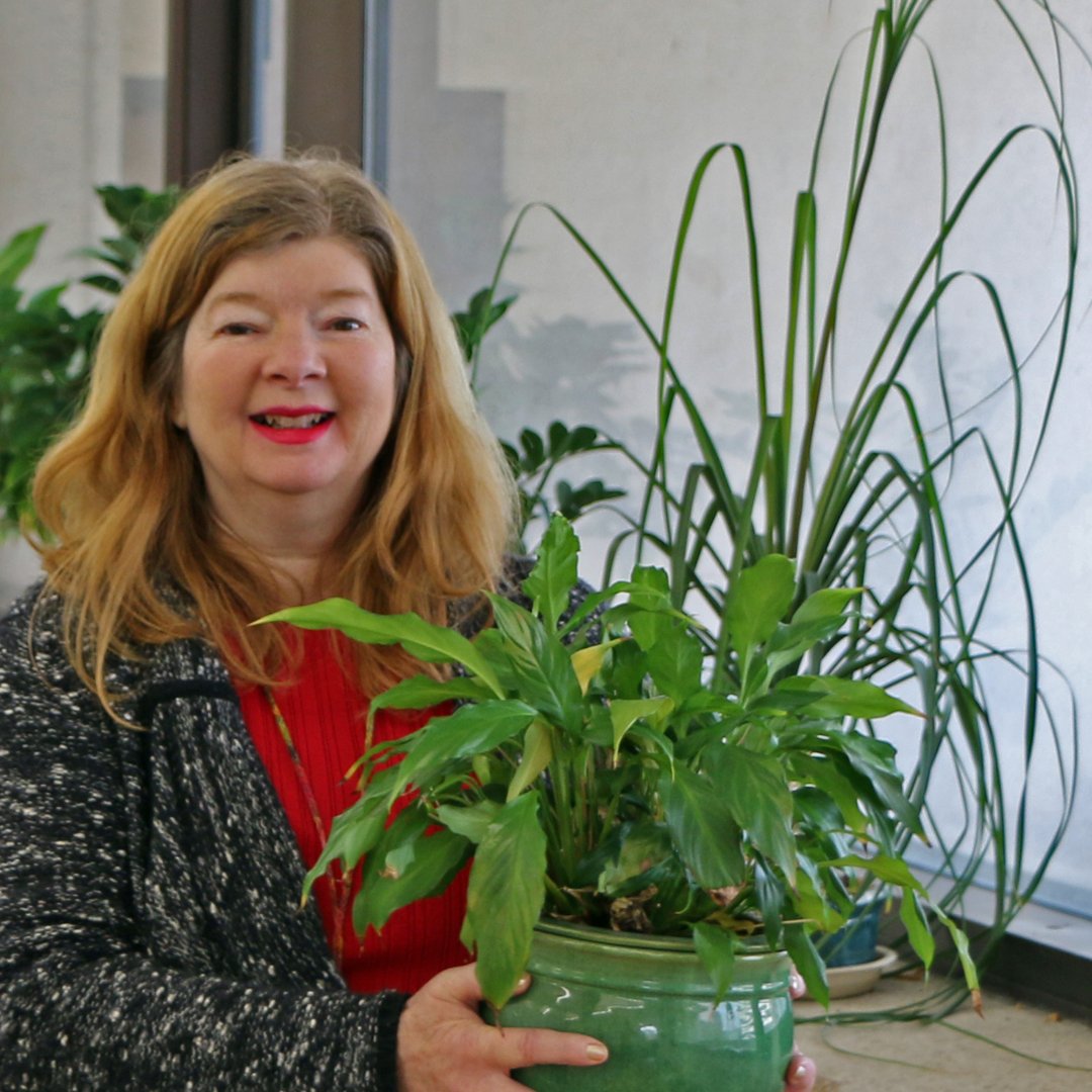 chattlibrary's tweet photo. Looking for Ms. Diane's gardening video today? She's taking a break, but don't worry! She'll be back next Sunday at 12 pm with all new tips for growing and maintaining a beautiful garden. #ChattanoogaPublicLibrary https://t.co/L14O46sEjd
