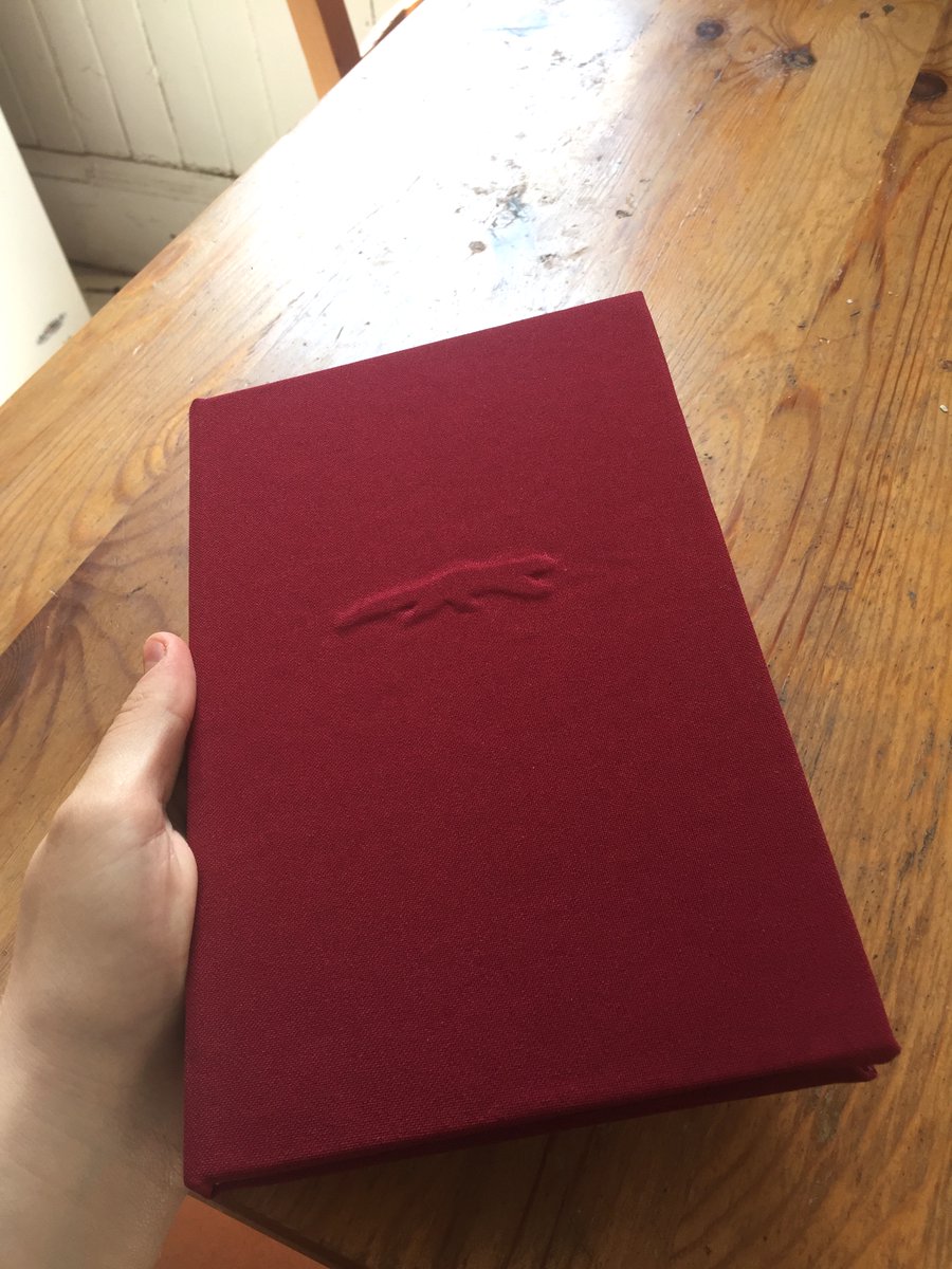 wormsquirms's tweet photo. finally complete! more photos + video to follow. thank you very much @lvslies for writing a story that made me immediately go "i have to bind this", and for permission to do so 🍒 https://t.co/xhGRmTEzcJ