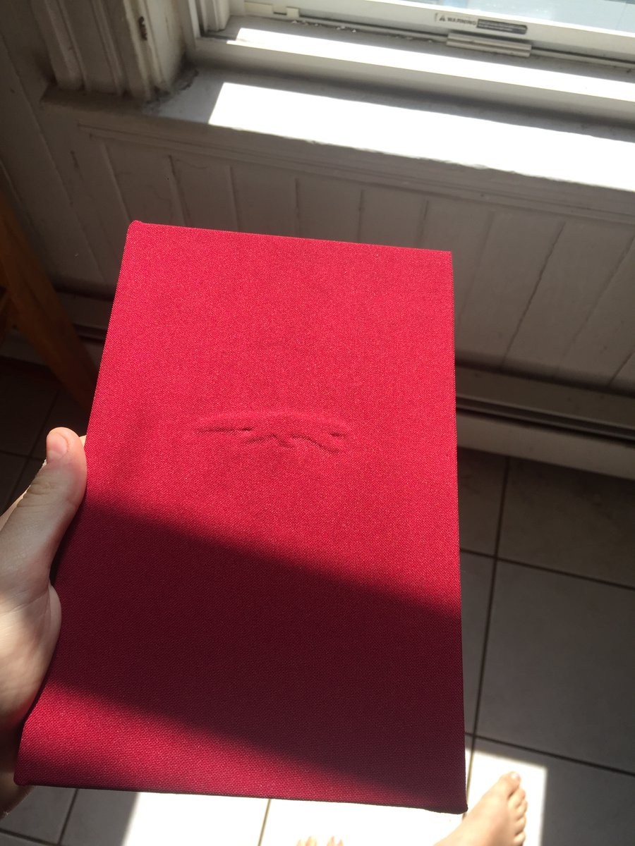 wormsquirms's tweet photo. finally complete! more photos + video to follow. thank you very much @lvslies for writing a story that made me immediately go "i have to bind this", and for permission to do so 🍒 https://t.co/xhGRmTEzcJ
