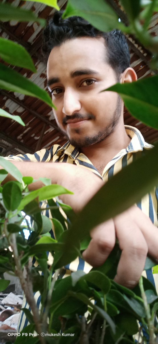 Pareek197's tweet photo. @oppomobileindia One day when I visited a small plant in the office the idea was that why not take a photo of the plant and I took a photo with #OppoF9Pro which was a memorable moment for me with a very nice platy.Fabulous Camera Quality Big Fan #OPPOFSeries #MyOPPOFSeriesMoment #FlauntItYourWay https://t.co/QhkSN1Mupu