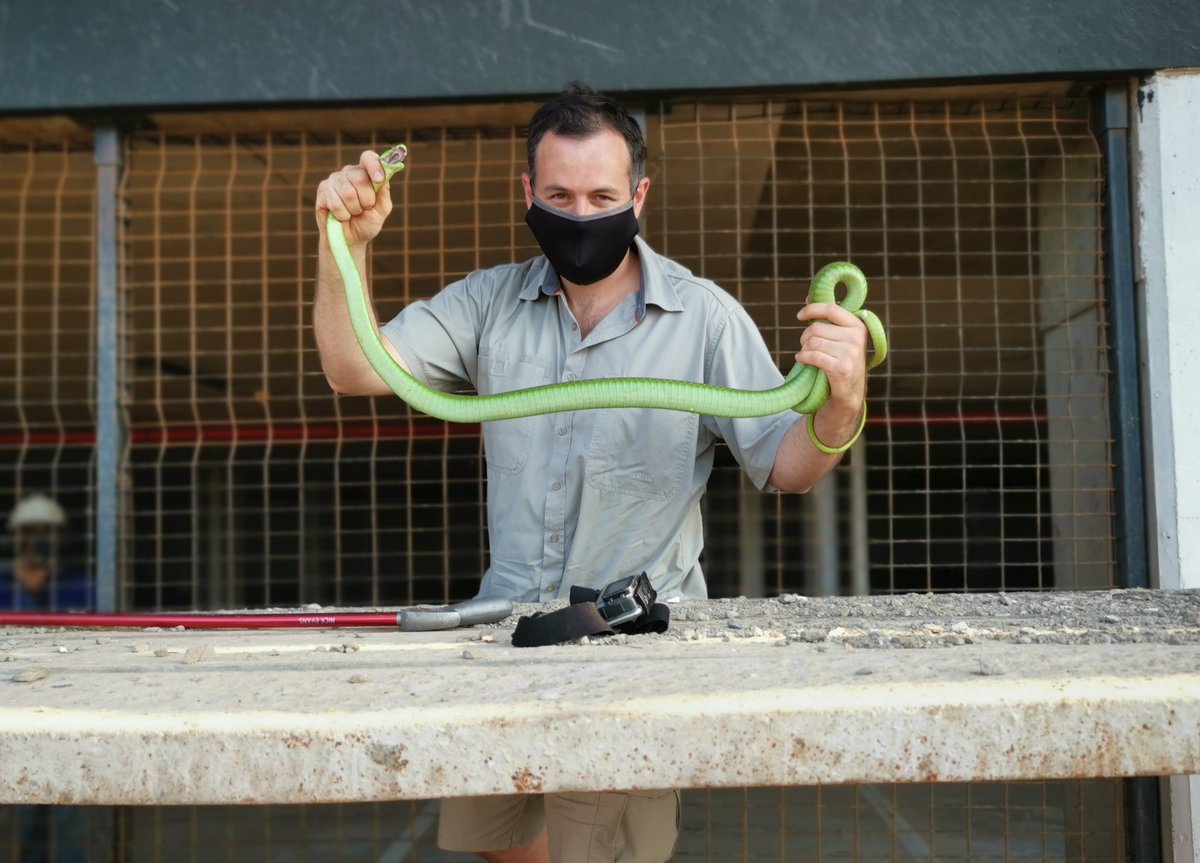 Nick Evans tweet media