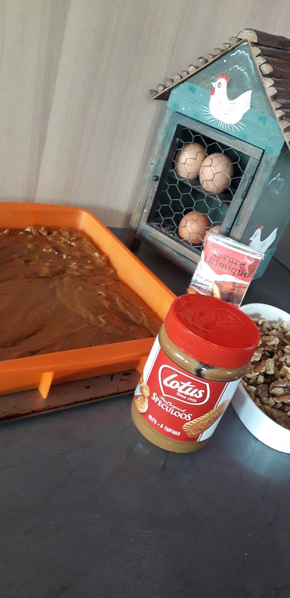 ClaireRoeChef's tweet photo. Tried out a new tray bake cake today using Lotus Biscoff. Delicious https://t.co/YRphax0HQz