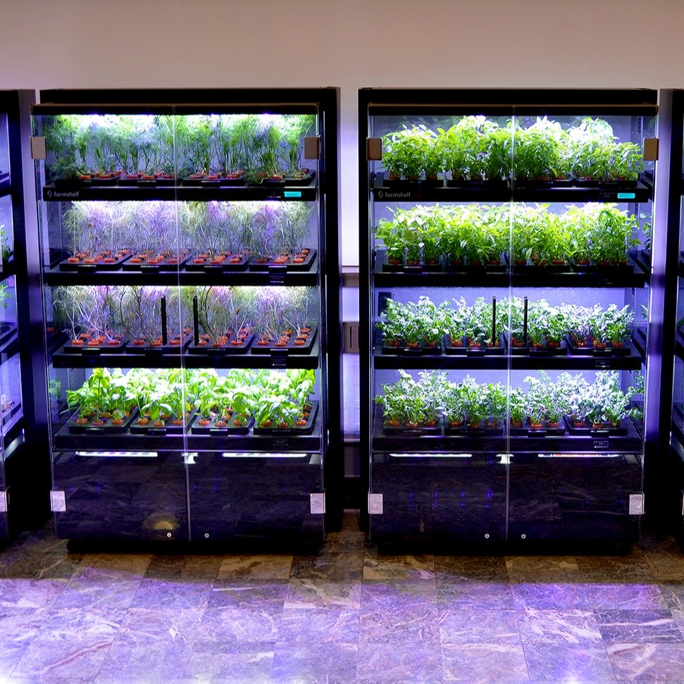 With Farmshelf's controlled environment, your plants are always taken care of. The perfect amount of water and nutrients flow automatically to your plants, giving them what they need, when they need it without you having to lift a finger. Sounds ideal, right? #smartindoorfarm