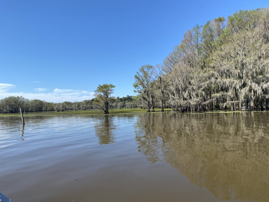 averyfan's tweet photo. Boat tour on Caddo Lake- our tour guide is amazing and very knowledgeable. #UncertainTX https://t.co/B6xefbQbI9