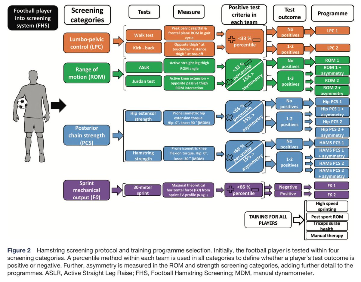 jb_morin's tweet photo. 🚨NEW PAPER🚨
Protocol for (really) individualized &amp; multifactorial hamstring prevention in ⚽️, great PhD work by @lahti_johan 🔬
Still unresolved issue 💥 at the elite level, this contextualized approach will likely help push things further
Open access: https://t.co/iM8JMDylkS https://t.co/nRcHt1eAcu