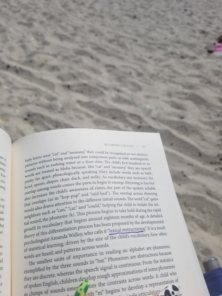 MsRossi5's tweet photo. A happy medium: reading and preparing for the new school year in the sand! #jamesburgproud https://t.co/c6wenHVlUa