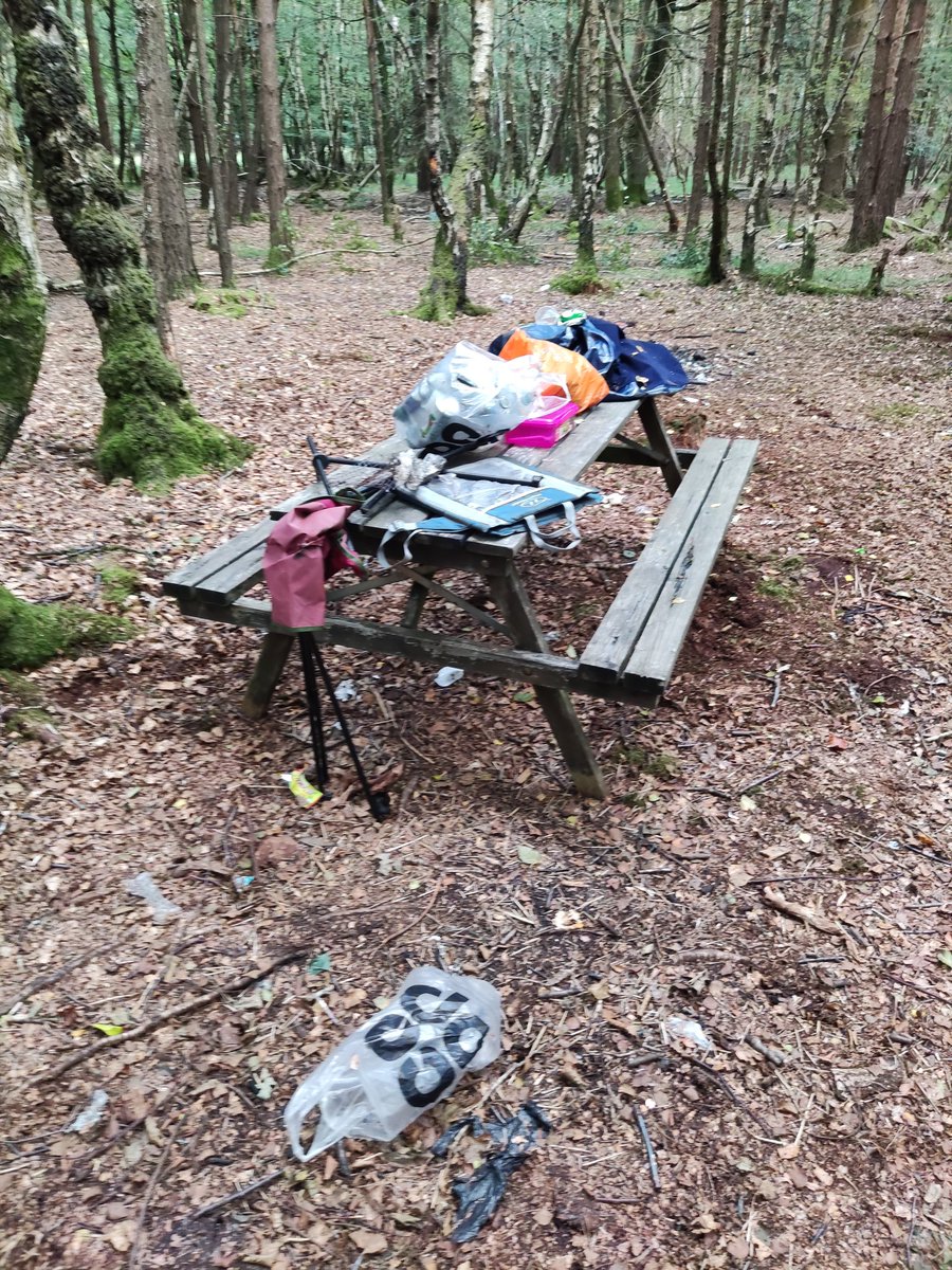 Groover14's tweet photo. @ForestryComm came across this mess in Woodlands Ashurst Hampshire today (and someone had already tried to tidy it up). Location with What Three Words is: Wizard:Fact:Poses https://t.co/bVAgNmYA8y