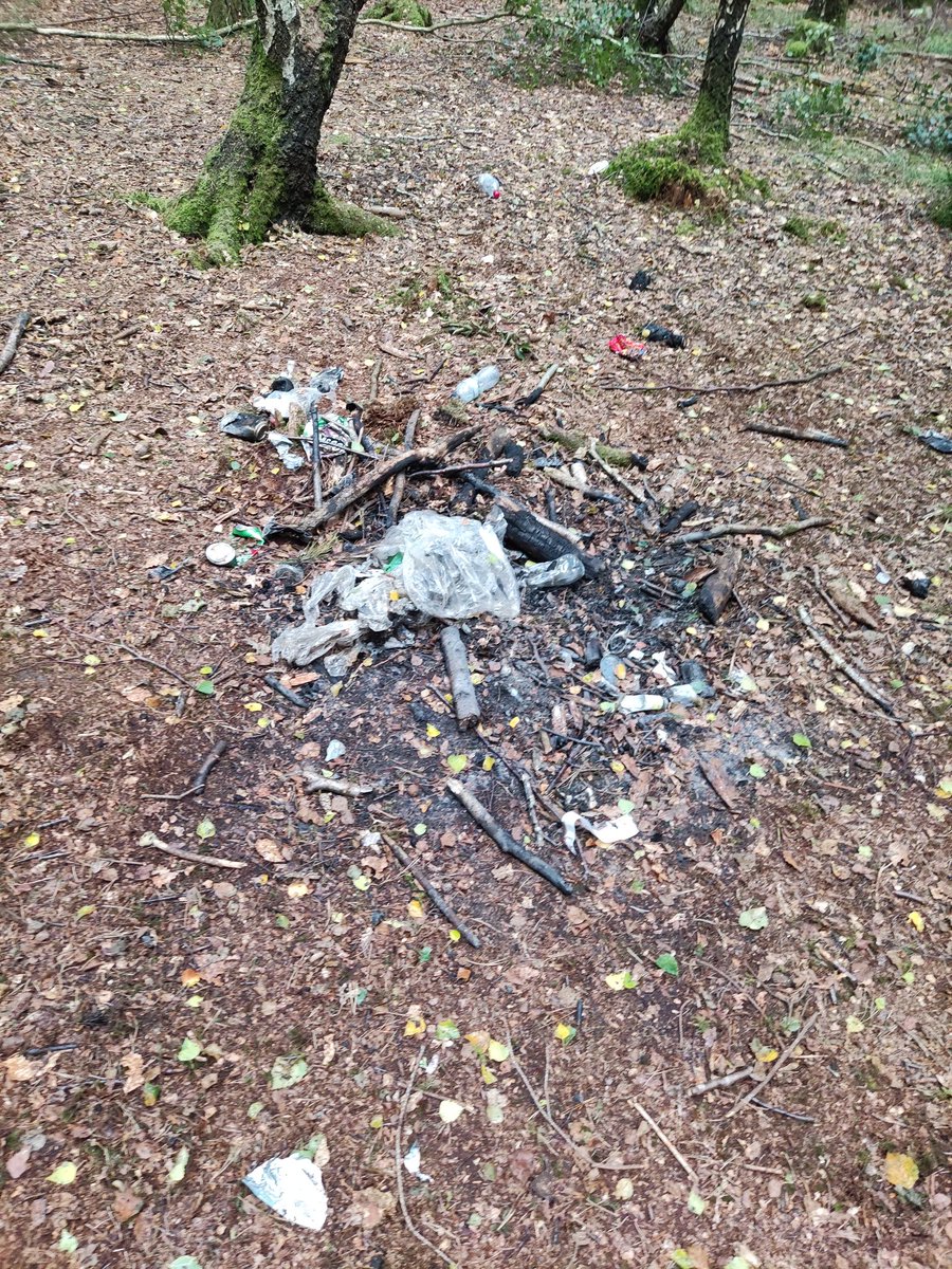 Groover14's tweet photo. @ForestryComm came across this mess in Woodlands Ashurst Hampshire today (and someone had already tried to tidy it up). Location with What Three Words is: Wizard:Fact:Poses https://t.co/bVAgNmYA8y