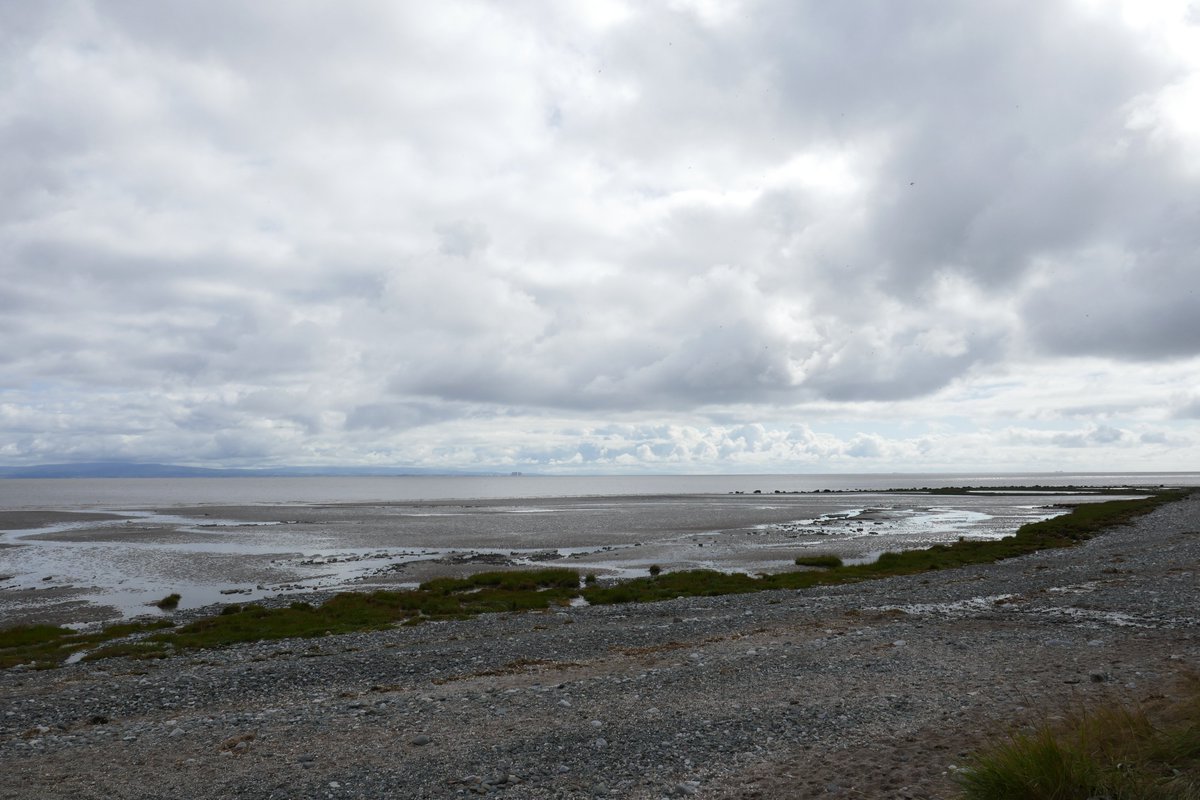 TheLengthsman's tweet photo. Lovely afternoon walking the dogs on #MorcambeBay at #Baycliff as the tides comes in ~ not a sole in sight ! https://t.co/SZuzKfOO6J
