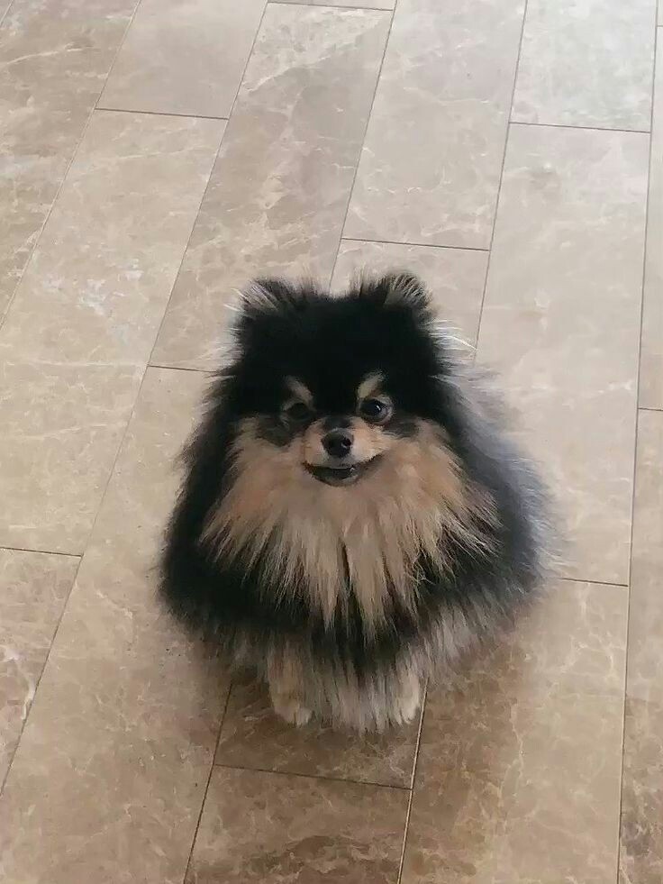 YOU ARE OBLIGED TO OPEN THIS THREAD FOR YEONTAN !!!!!!!