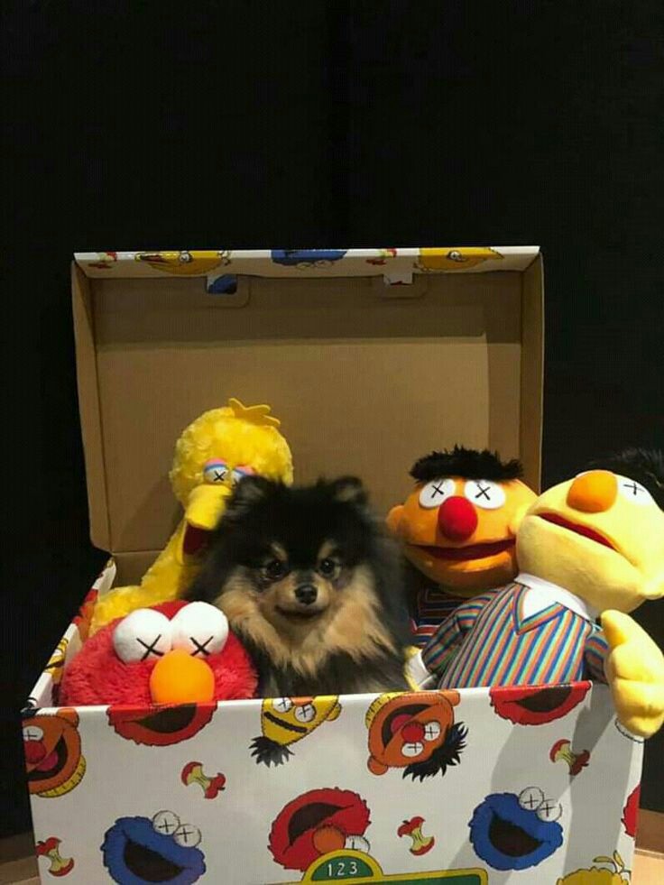 YOU ARE OBLIGED TO OPEN THIS THREAD FOR YEONTAN !!!!!!!