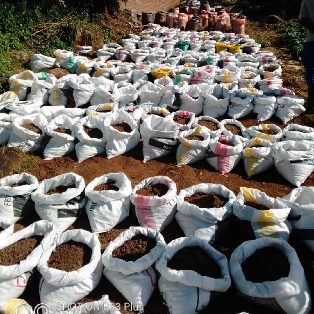 FlameTreeMalawi's tweet photo. Agriculture is the foundation of Malawi's economy
Improvements to agriculture, such as irrigation, can make huge changes in people's lives economically, and can aid local food security.
#Malawidevelopment #malawiirrigation #endenergypoverty https://t.co/g3HBD9sXqr
