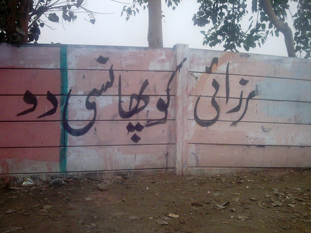 KashifMD's tweet photo. I condemn the victimization of religious minorities in Pakistan. The persecution of Ahmadi Muslims is probably the worst example of state-sponsored religious apartheid in this age. 

Now Shia Muslims also increasingly victimized. Speak up against #AhmadiApartheid &amp; #ShiaGenocide https://t.co/Lhy9omgWqK