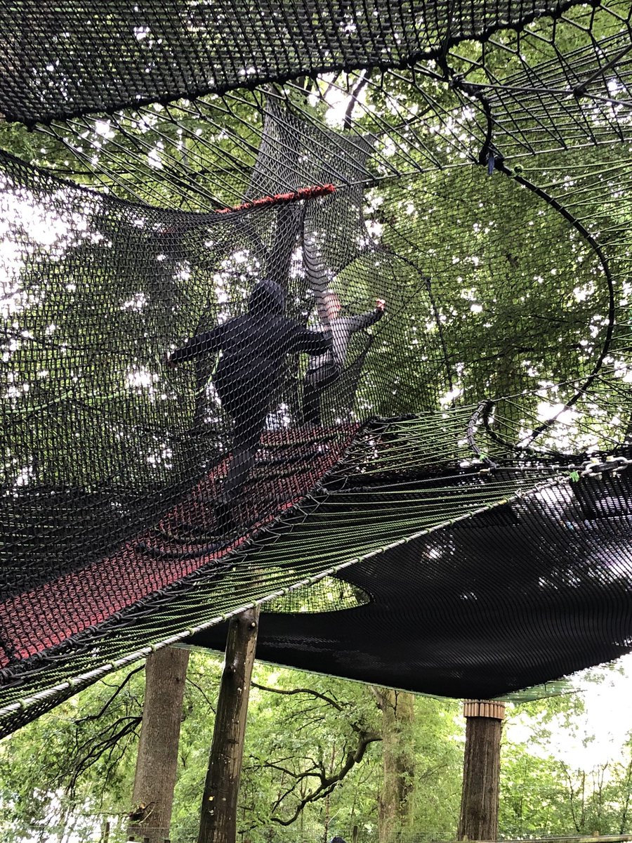 MelMurphxx's tweet photo. Burning some energy off....
@brockhole #treetopnets #LakeDistrict 🍁🍂🍃☔️ https://t.co/QtnQ2x8HYB