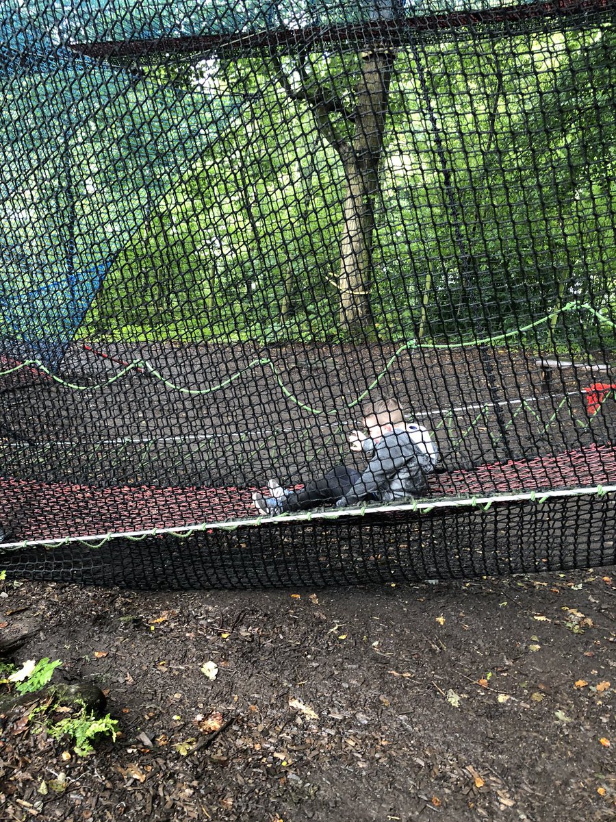 MelMurphxx's tweet photo. Burning some energy off....
@brockhole #treetopnets #LakeDistrict 🍁🍂🍃☔️ https://t.co/QtnQ2x8HYB