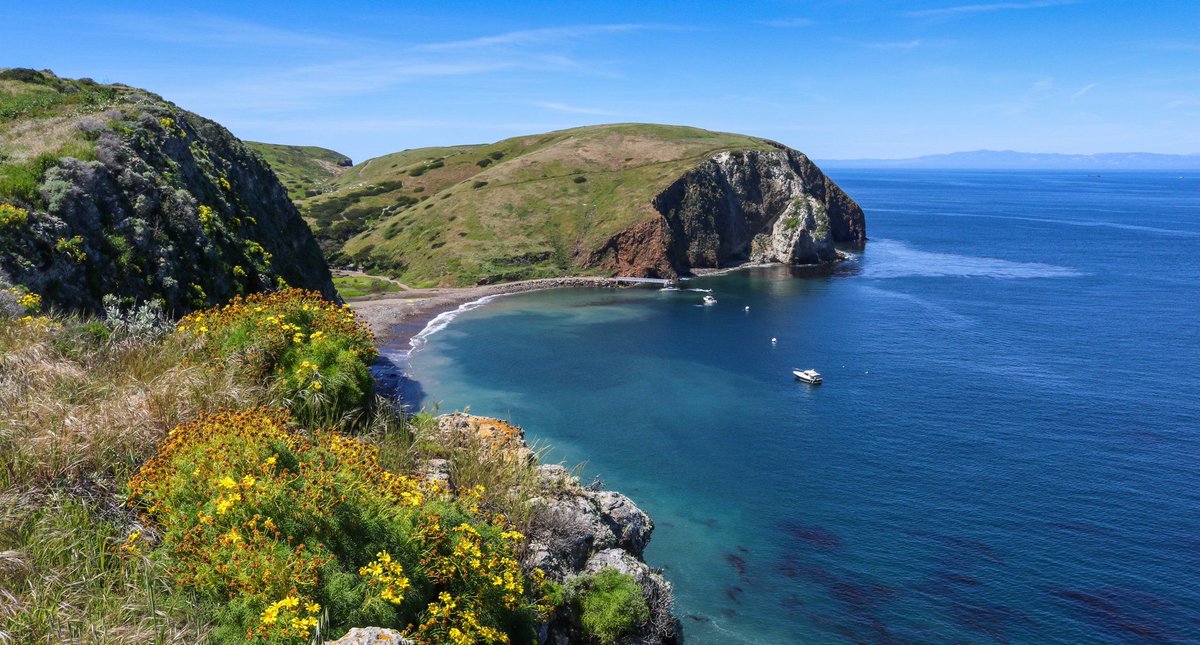 IslandKayaking.com tweet media