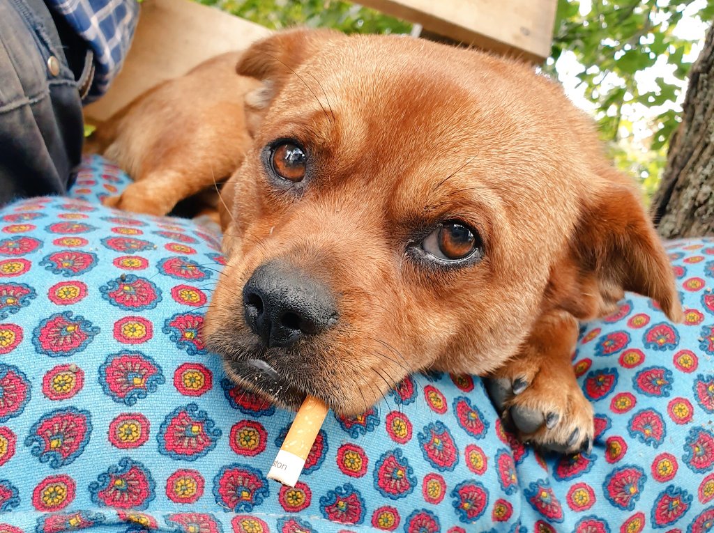 emirhan (@emmoskaracan) on Twitter photo 