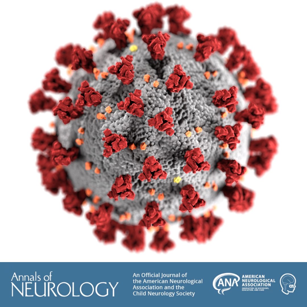 ANAneurology's tweet photo. #ANAJournalHighlight: "Multidisciplinary Guidance to Manage Comatose Patients with Severe COVID‐19" (https://t.co/pYPcSNy16B) and "Intact Brain Network Function in an Unresponsive Patient with COVID‐19" (https://t.co/sccYx0D8o1). Read them #OpenAccess in Annals of #Neurology https://t.co/cprljYM4jM