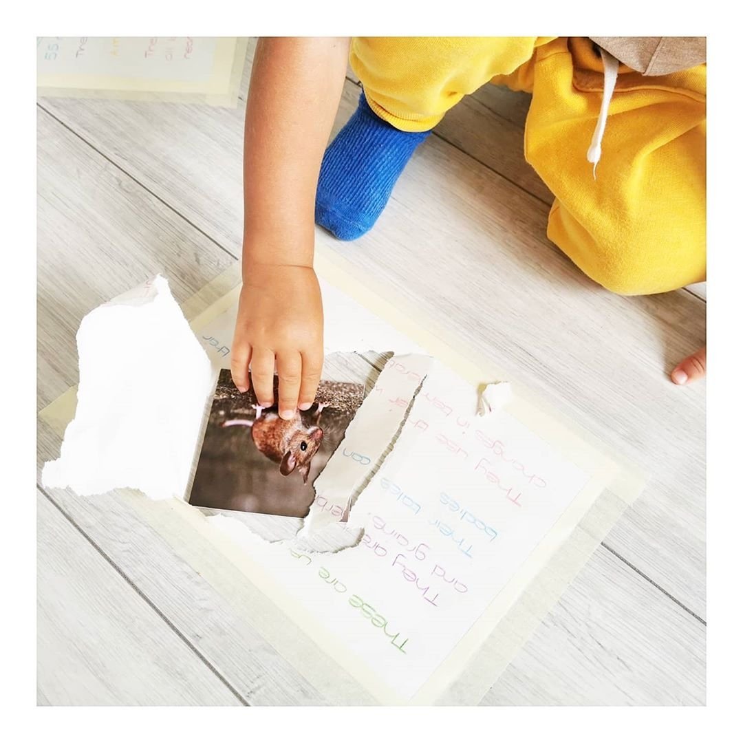 TeddoPlay's tweet photo. @TheoPaphitis Hi Theo, I'd absolutely love to gain the valued #SBS support to take our play-based educational learning sets to children far & wide!
✅ Encouraging parental play
✅ Strengthening observational skills
✅ Intellectual growth & development
✅ Robust visual memory
✅ #cutscreentime https://t.co/O7RNt0UZli