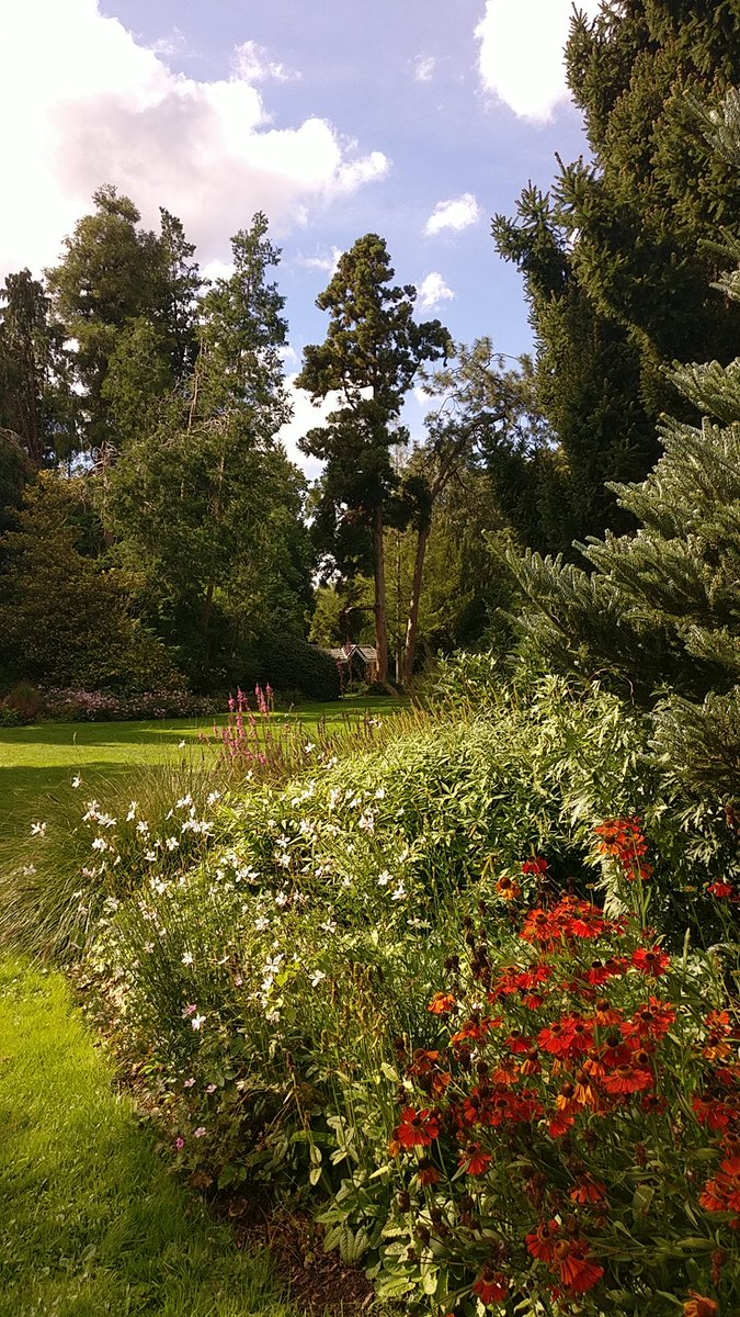 Boswachter_Marc's tweet photo. Altijd even verrassend, de #bomentuin @arboretumkalmt.

En blij om de zeldzame #WollemiaNobilis in deze mooie setting te zien 🌱🌻🌼💚🌲🌳

#Tipvdbosw8er #ArboretumKalmthout https://t.co/V3SSb1qBlm
