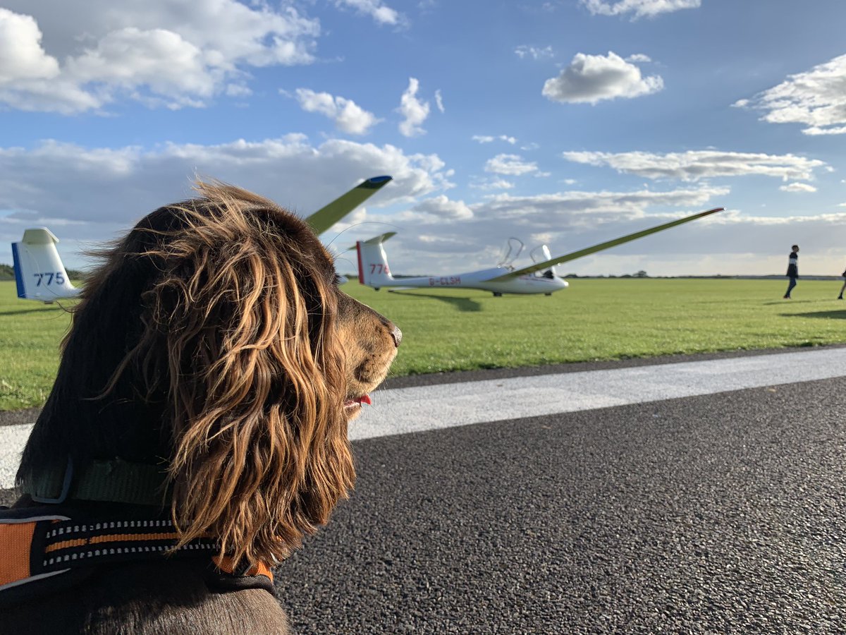 Vanillapilotlhr's tweet photo. Fully packed family weekend of aviating. Saturday morning Cub flying at @WLACFlying, evening gliding at Lasham and today at @Shuttleworth_OW for a Vintage drive in Airshow. Might as well start her young! 👶🏻 #avgeek #Lasham #cub @mmsba ✈️🍦 https://t.co/uJCTGc24Mt