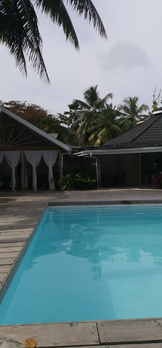 Natalie-Jane Revell tweet media