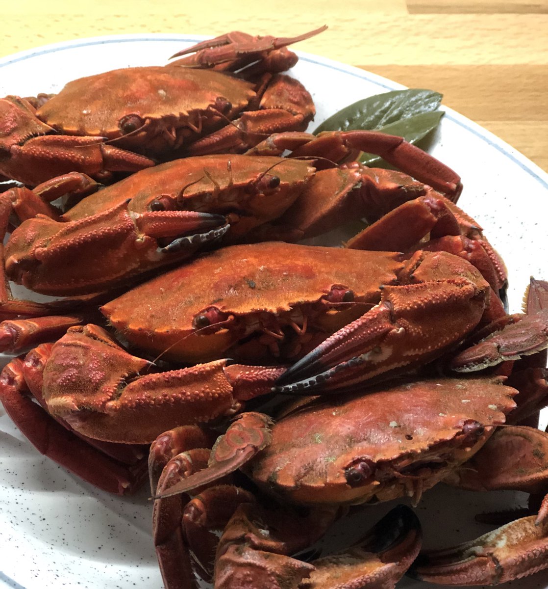 cocarivas's tweet photo. My local fishmonger knows more about #DigitalTransformation and #Justintime than a lot of consultants I know. He runs a WhatsApp group, every morning he sends a list with the #catchoftheday, towards the end of the morning updates with what’s left #nowaste #notjusttech #necoriña https://t.co/F1LM11Nnjb