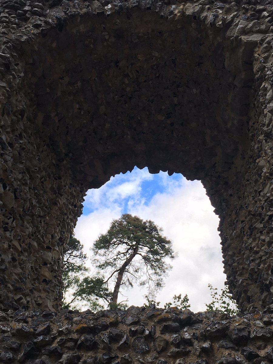 whatsnottohike1's tweet photo. Lovely paddle this afternoon to visit a castle. 

Visit my website to find more information about the paddle! 

#castle #paddle #ruins #swan #signet #tree #framing #photography #water #canal #canalboat #canoe #canoeing #paddling #openboat #odiham https://t.co/RVi4wopSib