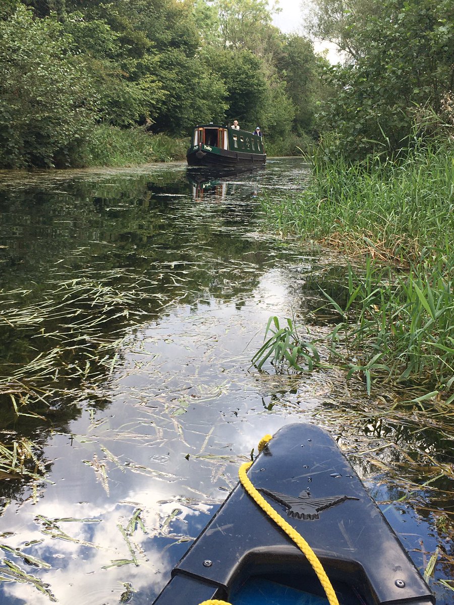 whatsnottohike1's tweet photo. Lovely paddle this afternoon to visit a castle. 

Visit my website to find more information about the paddle! 

#castle #paddle #ruins #swan #signet #tree #framing #photography #water #canal #canalboat #canoe #canoeing #paddling #openboat #odiham https://t.co/RVi4wopSib