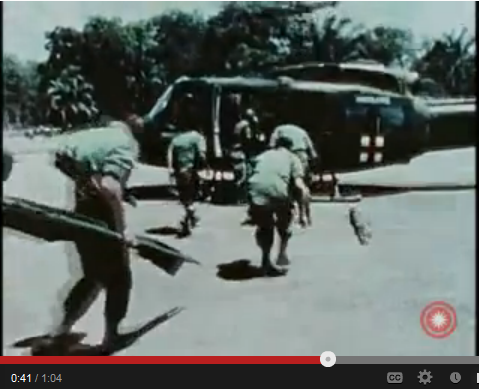 Dr. Ralph W Wilson, ND, MS, PhD (cand.), Veteran tweet media