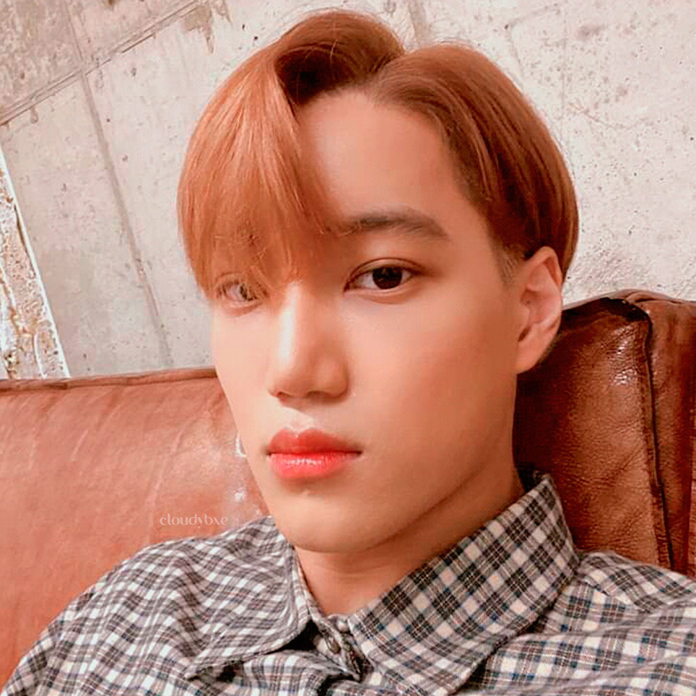 cloudybxeg's tweet photo. * β π΅π°π΅π° π°πͺπΆπ΅πΊ ππ»
@weareoneEXO #EXO #KAI
#exoicons #icon #nini
(1) https://t.co/rw5Np9d2d6