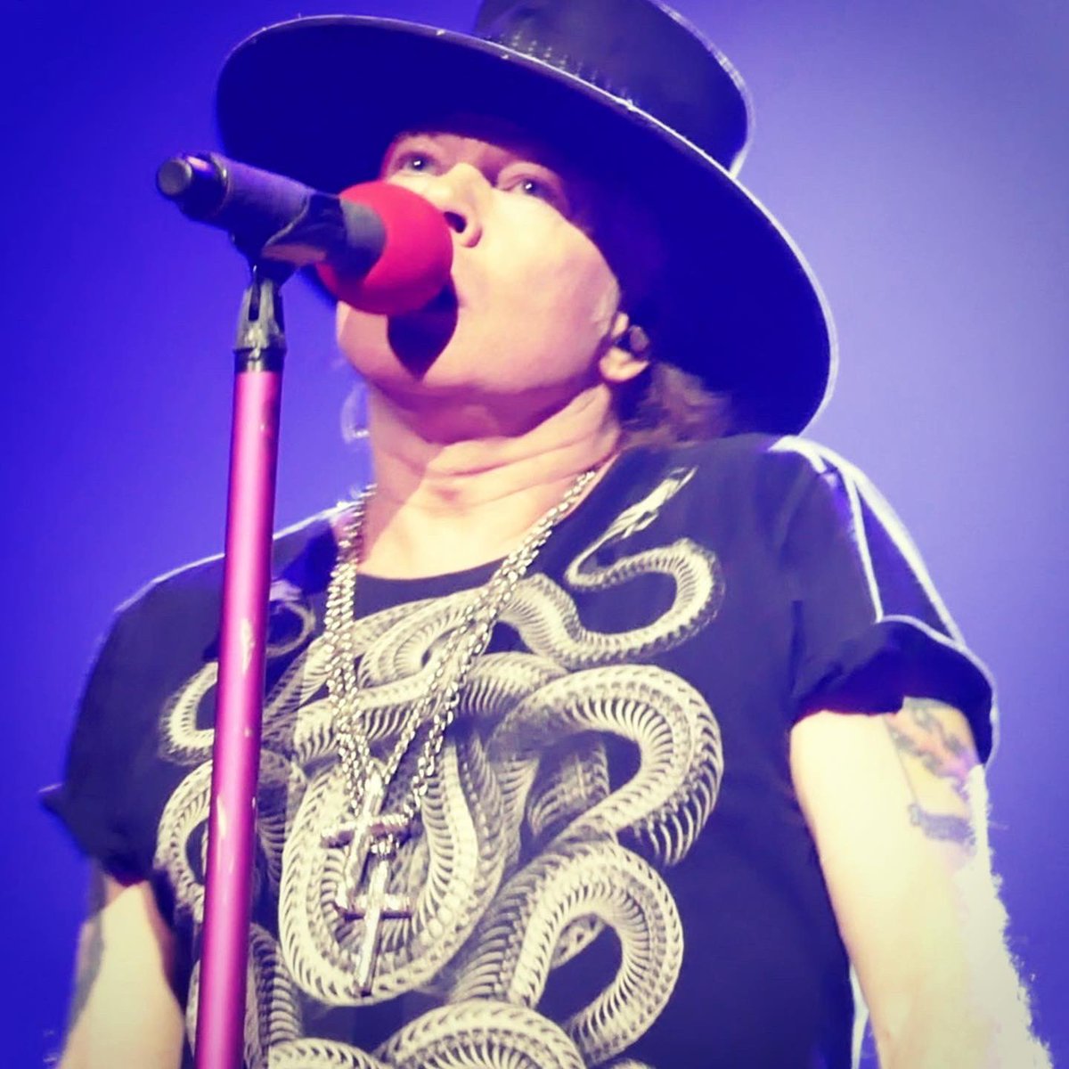 yokotranslator's tweet photo. マジソン・スクエア・ガーデンのガンズ🌹 @gunsnroses @Slash @DuffMcKagan #GunsNRoses #NotInThisLifeTimeTour2017
pics by me😊 https://t.co/Do5qgaDC1y