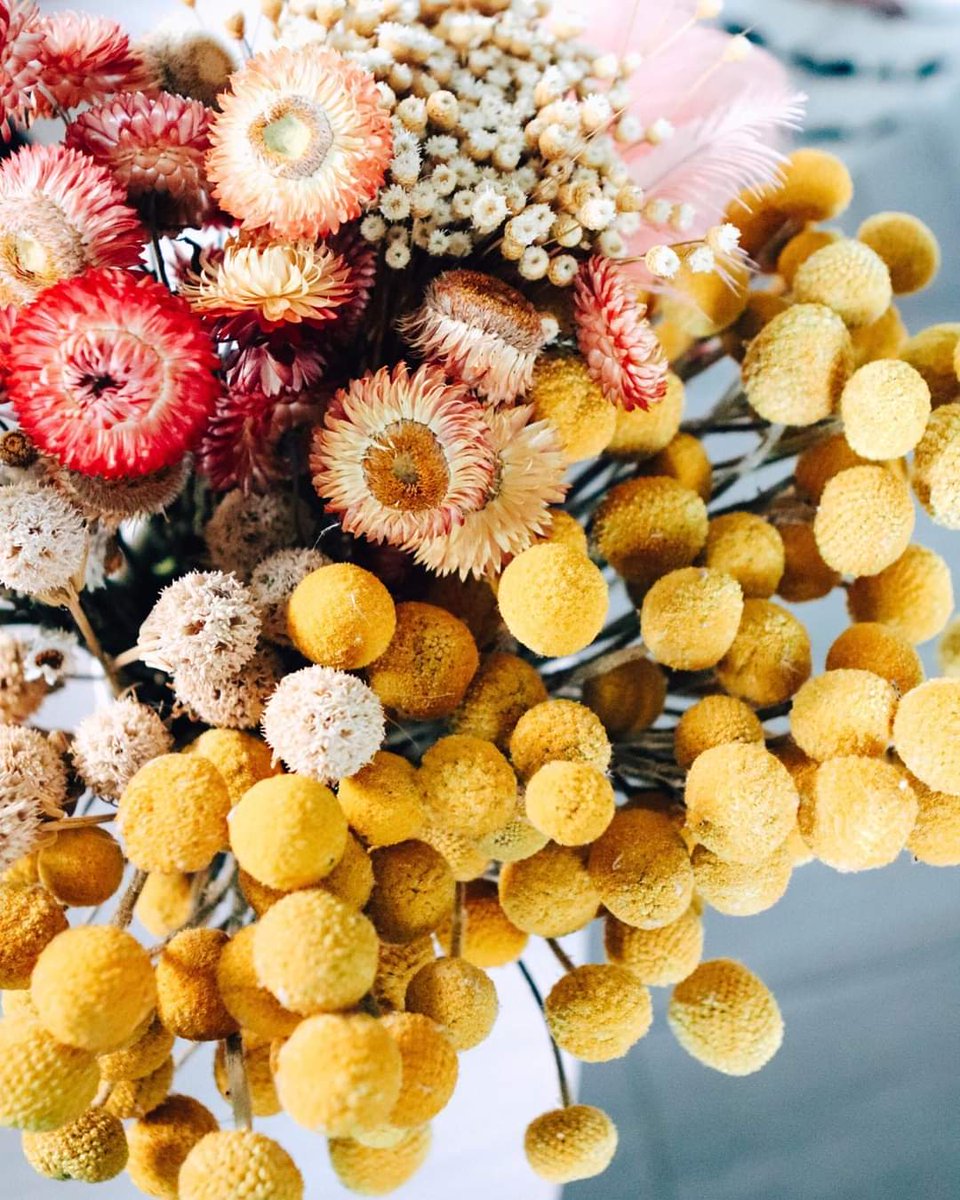 RoguePetalCo's tweet photo. Can never have too many dried stems to upgrade ππ»ππ»the realism anddd the pretty in our arrangements πΏπΌ
#fauxflowers #weddings #driedflowers #driedstems #baltimore #supportyourlocalmakers https://t.co/EMvUjdQL5w