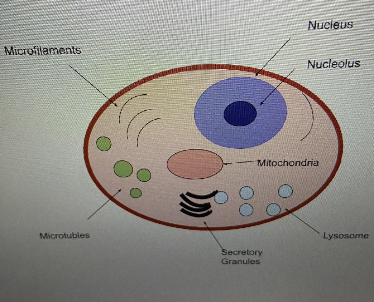 Kelli Tenant tweet media