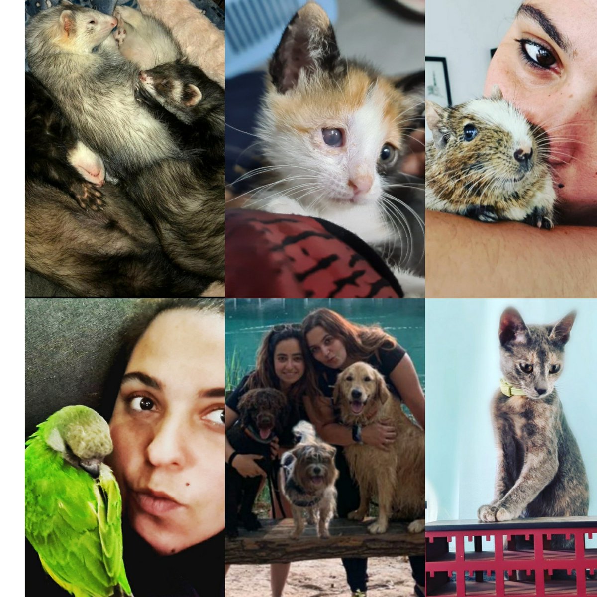 ↑ Nata ↑ moon tweet media