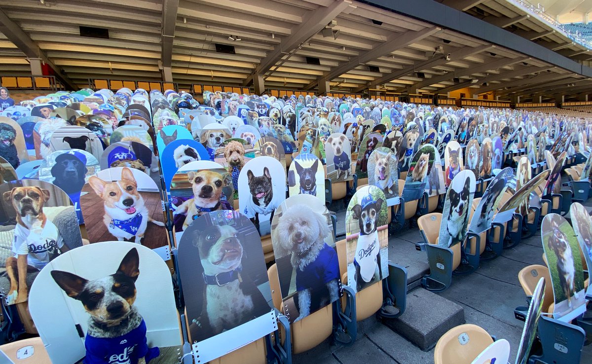 𝙻𝚘𝚜 𝙰𝚗𝚐𝚎𝚕𝚎𝚜: Dog Sections! 