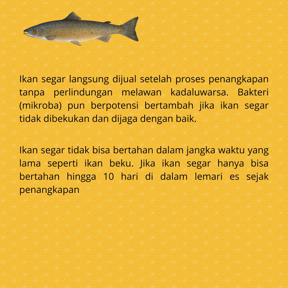 halomikan_id's tweet photo. Ikan segar atau ikan fresh lebih sering dipilih karena dianggap memiliki kandungan gizi yang lebih baik dibanding ikan beku atau ikan frozen. Benarkah? Selain itu ada beberapa perbedaan antara ikan beku dan ikan segar yang harus sobat ketahui. Yuk cek sweep ke kiri 😉 https://t.co/aRmNzFYdyv