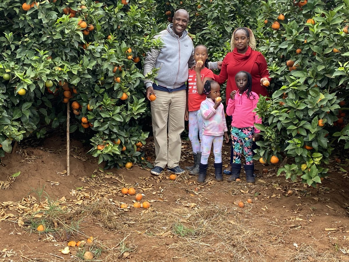 alfredarapketer's tweet photo. Today we had a wonderful time with my family at Joyland farm in Makueni county.
It is a very beautiful mega pixie farm owned by Peter Mwaka a retired teacher.
#AgribusinessTalk254 https://t.co/i7J3GOC3V6