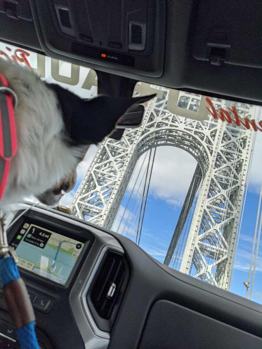 esfdogma's tweet photo. Driving on the George Washington Bridge recently, I remembered many years ago @levarburton on Reading Rainbow introducing my daughter @heyyley to what would become a favorite book, Faith Ringgold’s Tar Beach, and teaching us about the bridge. Thanks, LeVar! https://t.co/2a1fXWqY3j