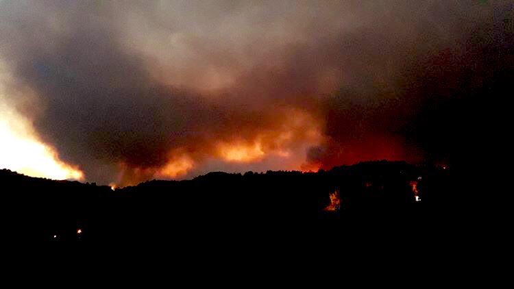 NazikErdal's tweet photo. 🔥 Her yaz ihmaller ve sabotajlar nedeniyle yüzlerce hektar ormanımız yanıyor.

🇹🇷Yanan sadece orman değil Türkiye'nin geleceğidir!
#hatay #hatayyaniyor #ormanyangını #samandag #samandağyanıyor https://t.co/pj6aqSnkgg