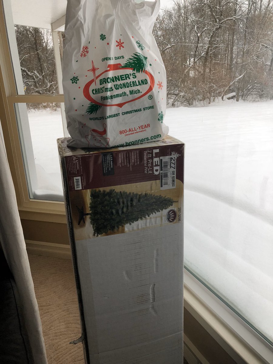 everdelightful's tweet photo. @sarahhisfunny What is this “decorating” thing you speak of? This was us last year on Dec 10. The tree was up(right) &amp; the ornaments were in the bag, but technically, on the tree. Am I doing it right? https://t.co/itUV1zVK2N